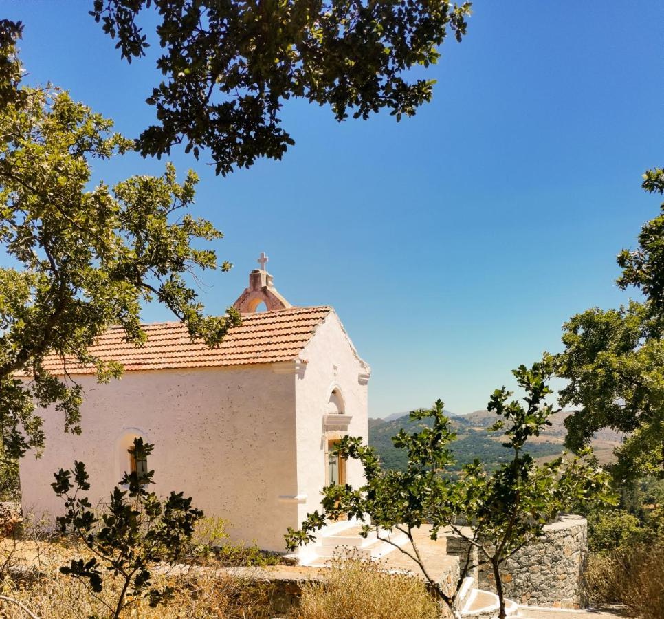 Villa Ermis - The Cretan Castello Kástellos Buitenkant foto
