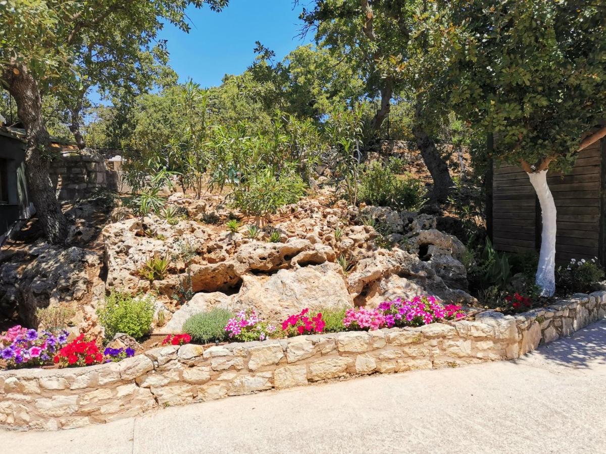 Villa Ermis - The Cretan Castello Kástellos Buitenkant foto